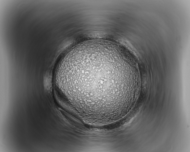 X0000093410585200710190947