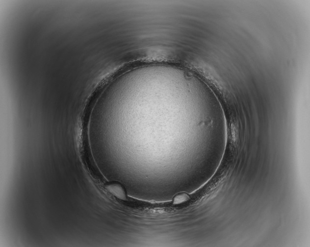 X0000093410588200710190946