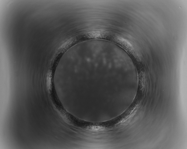 X0000093410590200710190946