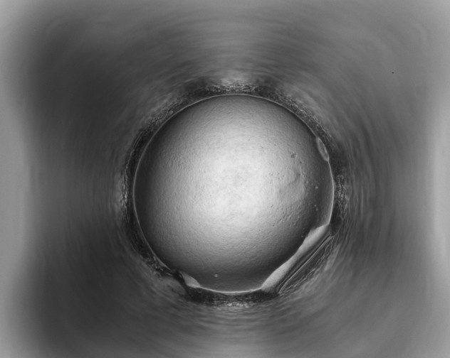 X0000093410593200710190946