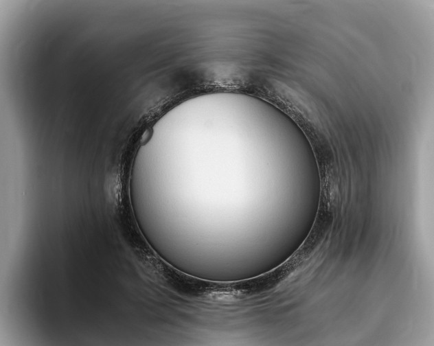 X0000093410595200710190946