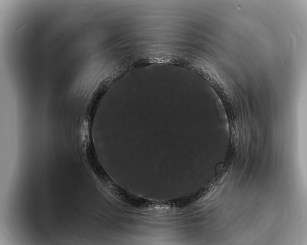 X0000093410598200710190946