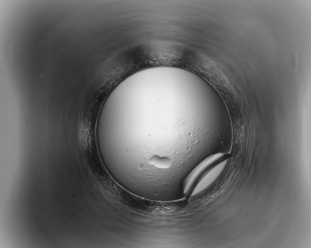 X0000093410599200710190946