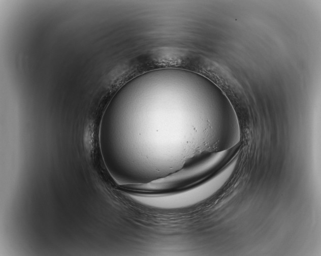 X0000093410600200710190946