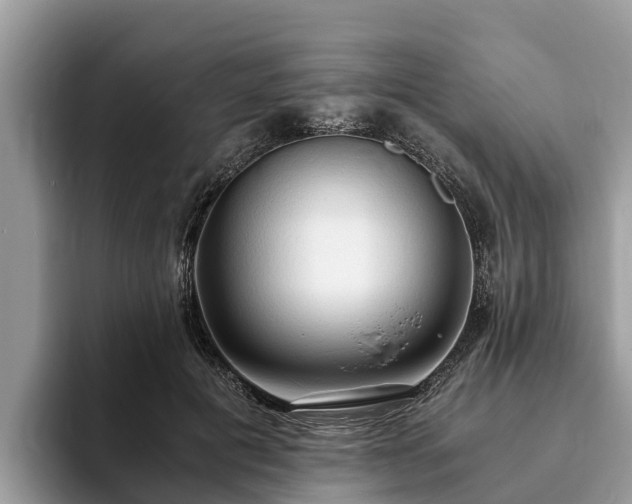 X0000093410601200710190946