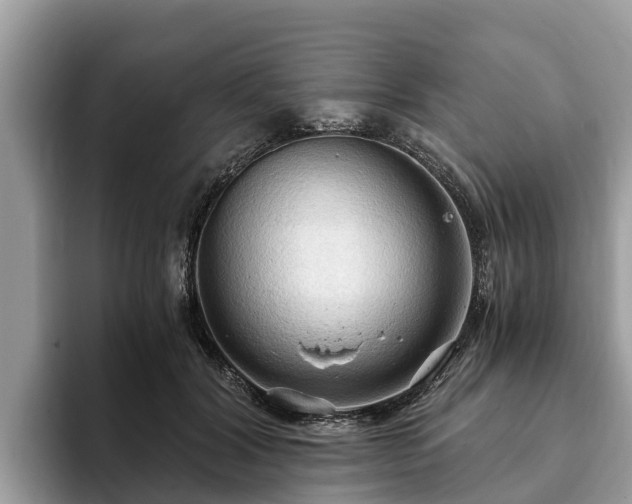 X0000093410604200710190946