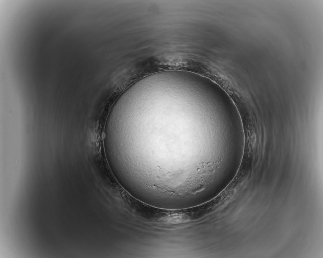 X0000093410609200710190946