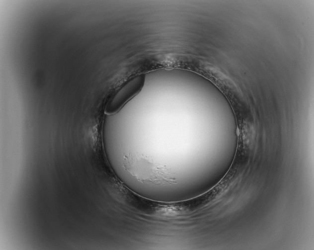 X0000093410611200710190946