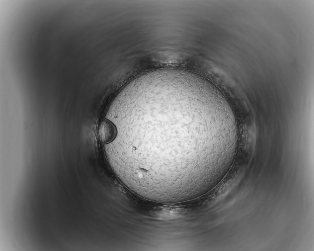 X0000093410612200710190946