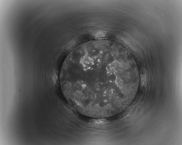 X0000093410618200710190946