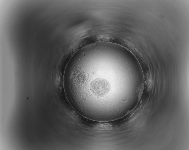 X0000093410619200710190946