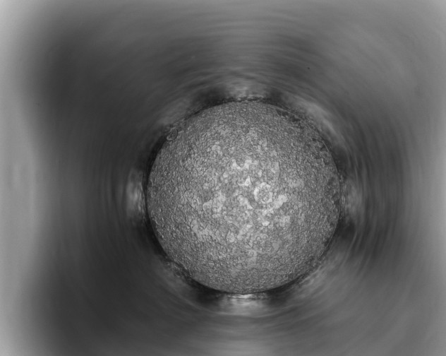 X0000093410622200710190946