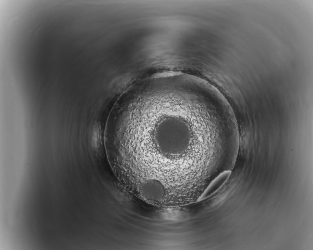 X0000093410623200710190946