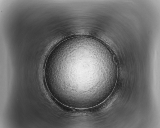 X0000093410625200710190945