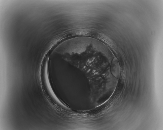 X0000093410626200710190945