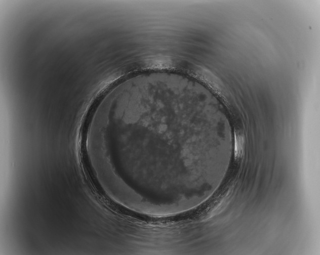 X0000093410627200710190945