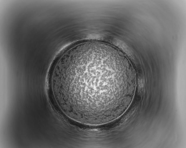 X0000093410628200710190945