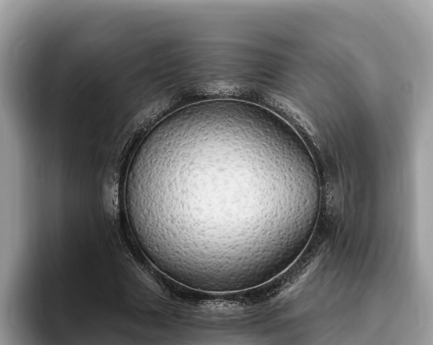 X0000093410633200710190945