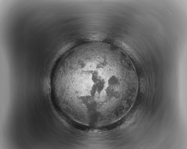 X0000093410634200710190945