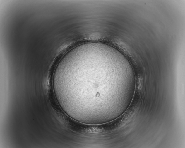 X0000093410636200710190946