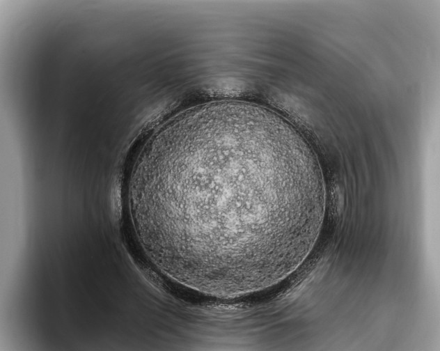 X0000093410638200710190946