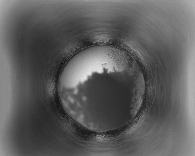 X0000093410641200710190946