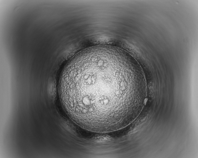 X0000093410642200710190946