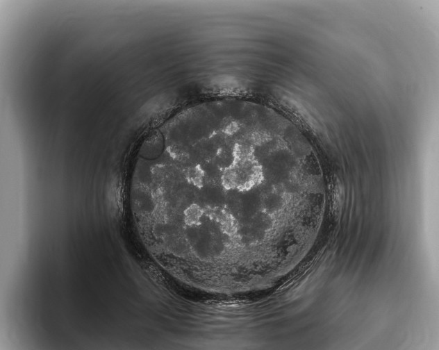 X0000093410643200710190946