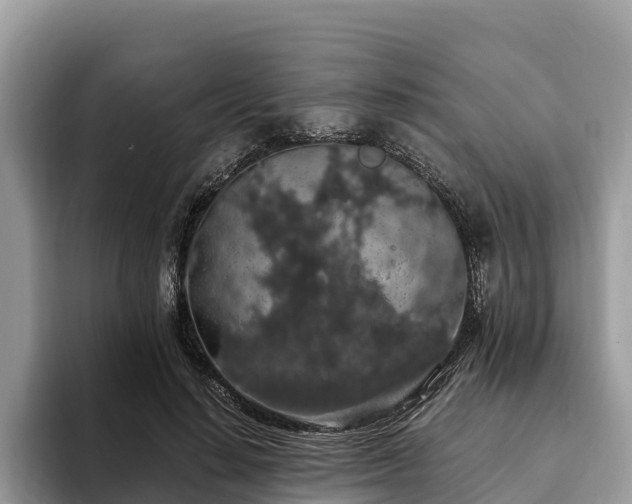 X0000093410644200710190946