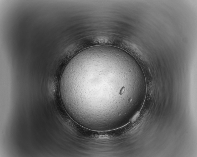 X0000093410645200710190946