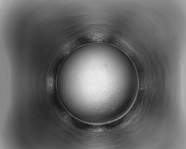 X0000093410646200710190946