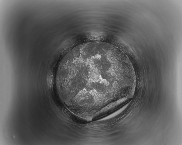 X0000093410647200710190946