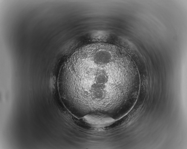 X0000093410649200710190946