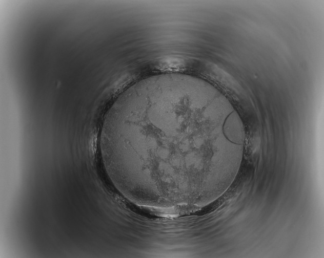 X0000093410652200710190946