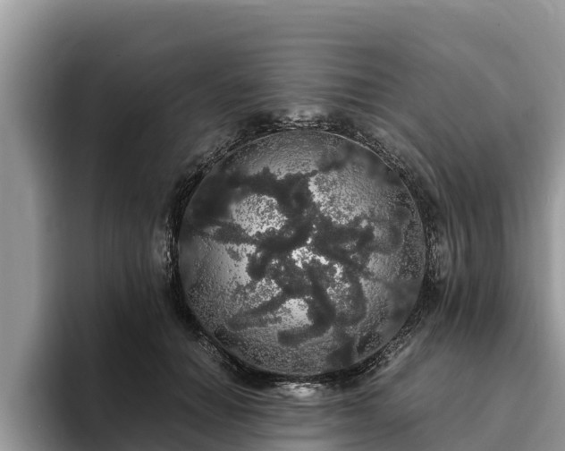 X0000093410654200710190946