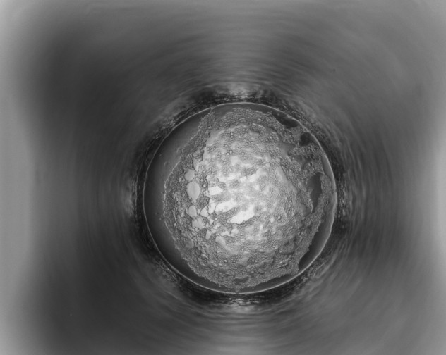 X0000093410656200710190946