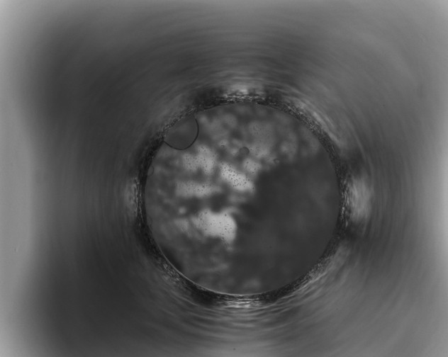 X0000093410659200710190946