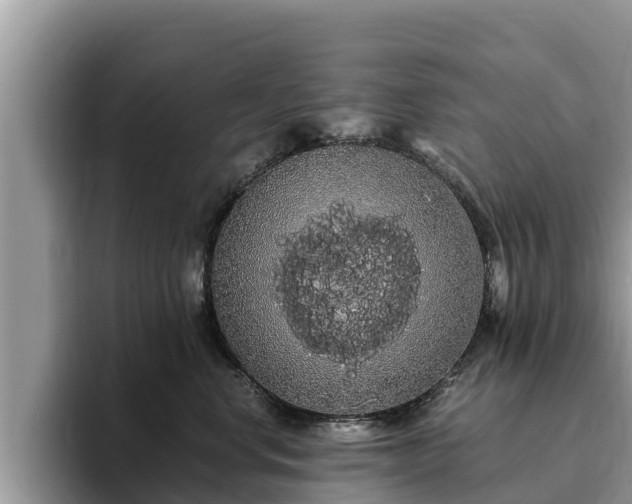 X0000093410668200710190946