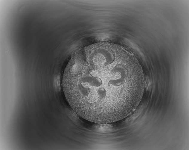 X0000093410670200710190946