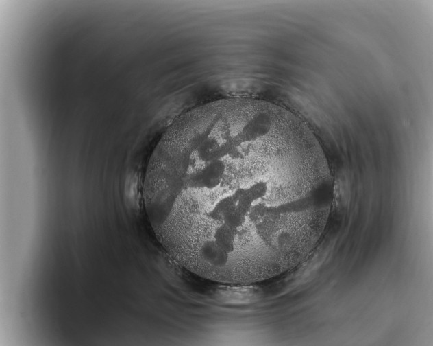 X0000093410671200710190946