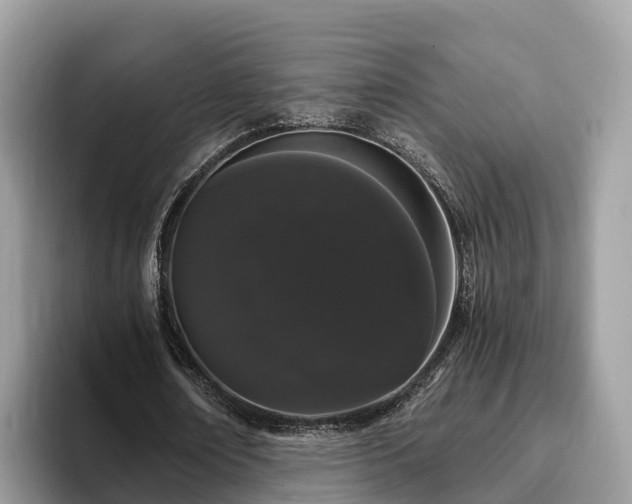 X0000093410674200710190945