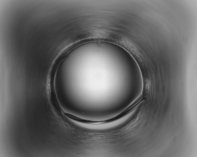 X0000093410676200710190945