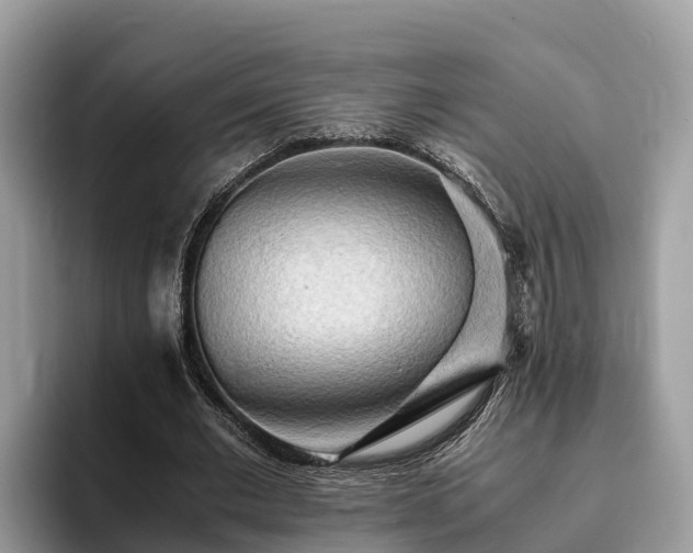 X0000093410677200710190945