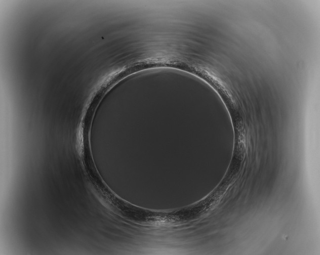 X0000093410678200710190945