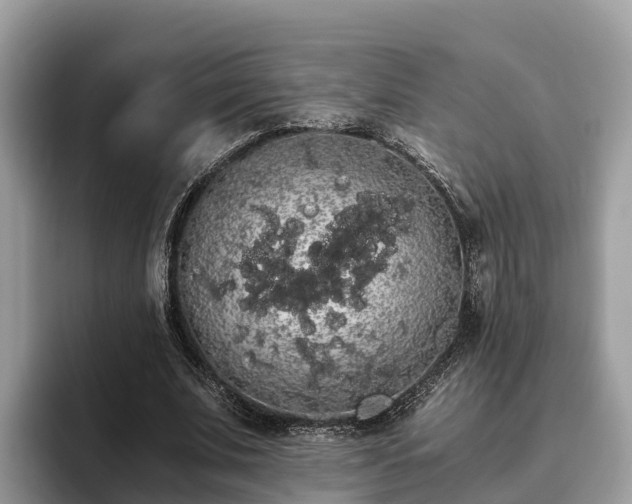 X0000093410679200710190945