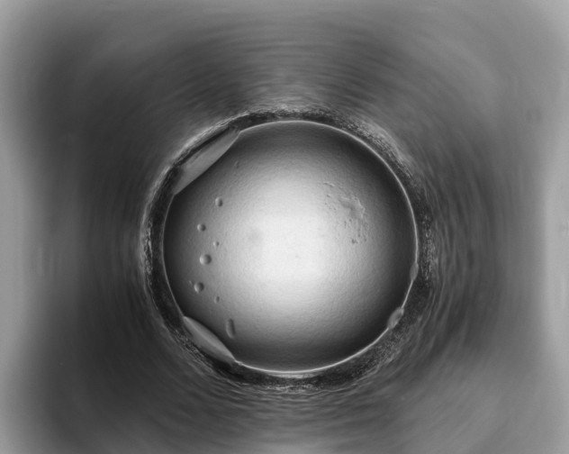 X0000093410680200710190945