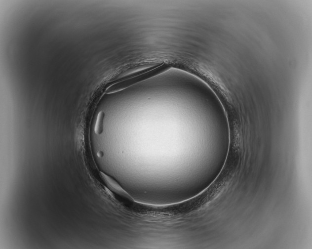 X0000093410681200710190945