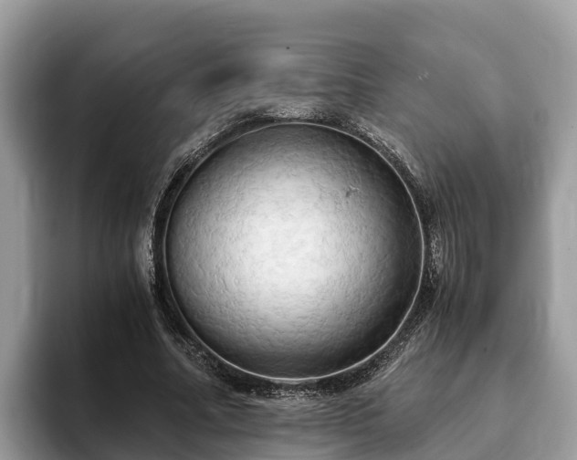 X0000093410682200710190945