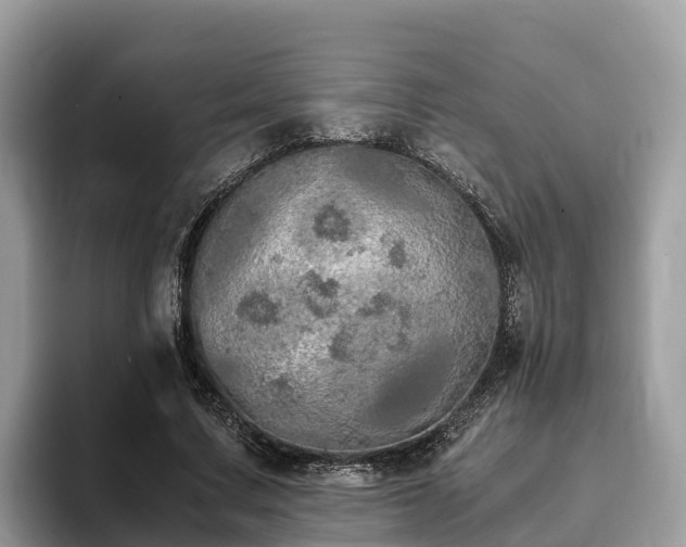 X0000093410683200710190945