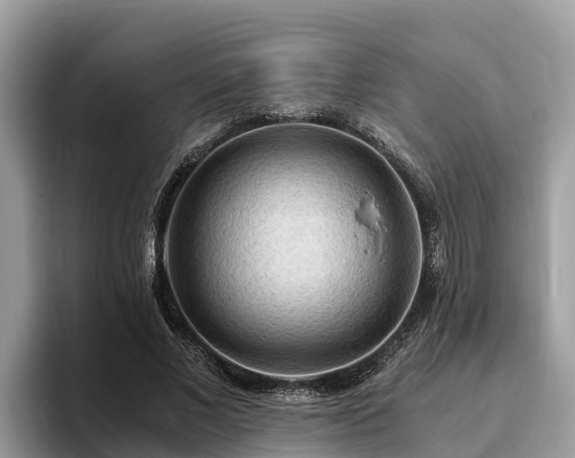 X0000093410685200710190945